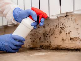 Best Asbestos and Lead Testing During Mold Inspection  in Cricket, NC